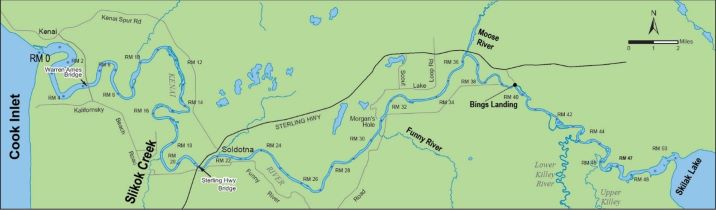 Kenai River Late-Run King Salmon Sport Fishery is Closed